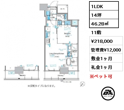 1LDK 46.28㎡ 11階 賃料¥218,000 管理費¥12,000 敷金1ヶ月 礼金1ヶ月