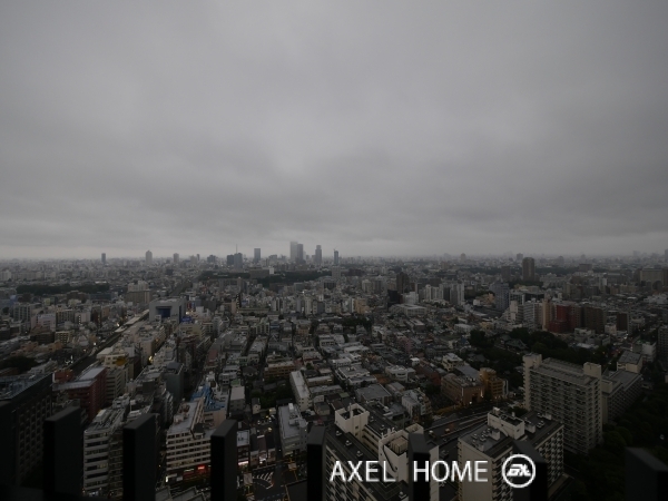 ラ・トゥール新宿ガーデン（Ｌａ Ｔｏｕｒ）